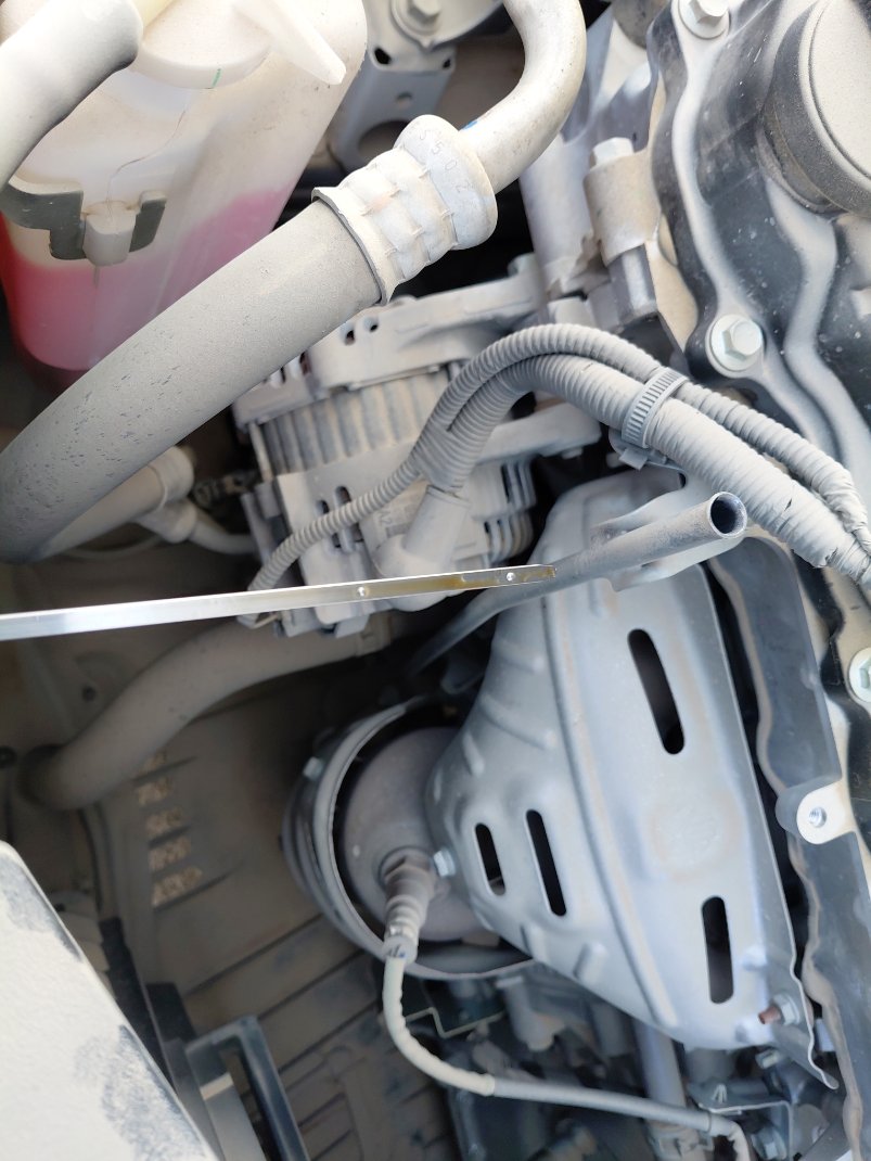 تويوتا يارس Y PLUS 2024 image