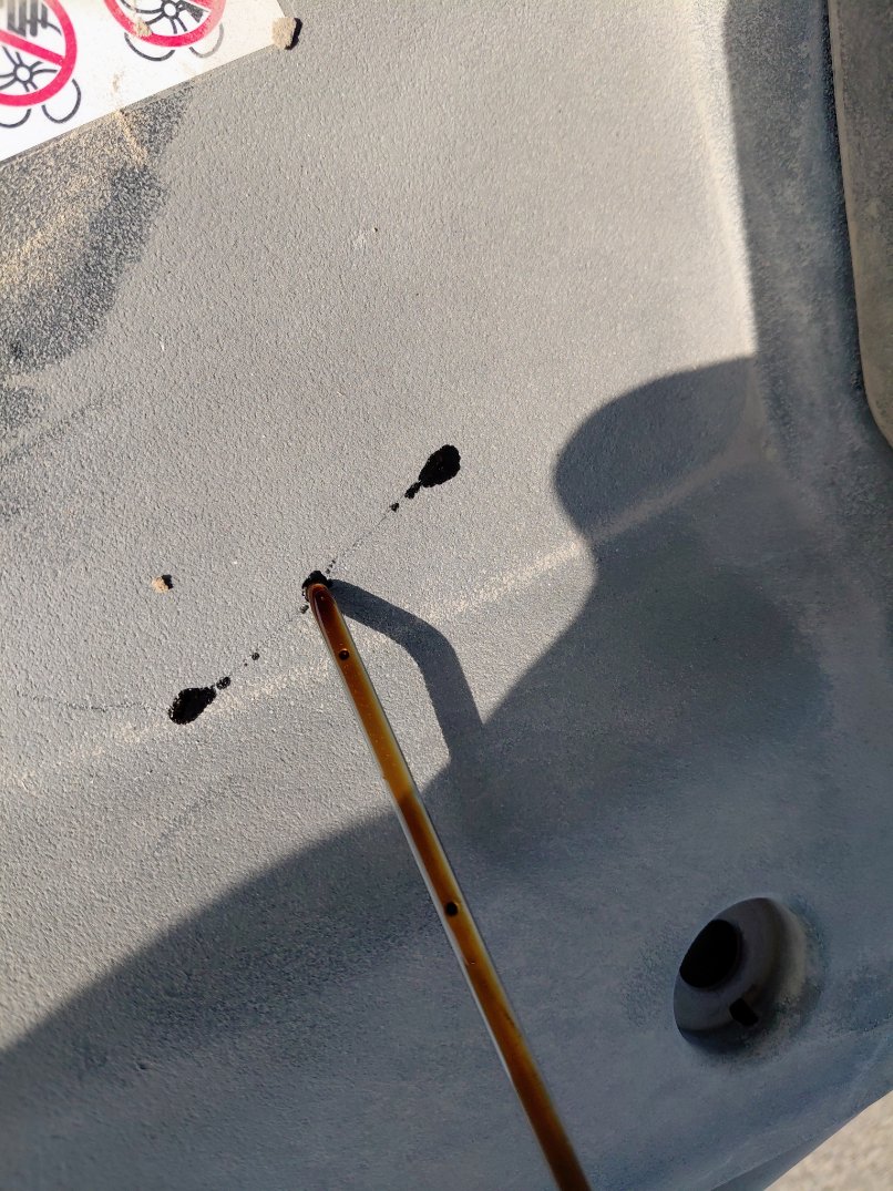 تويوتا كورولا XLI EXECUTIVE M/R 2021 image