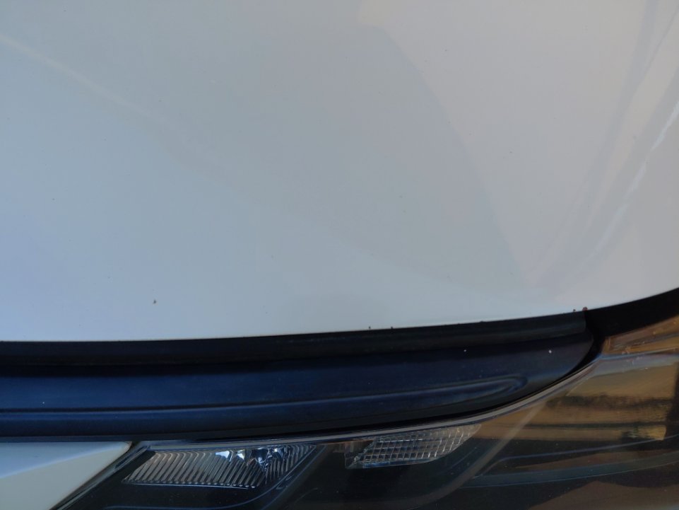 تويوتا كورولا XLI 2020 image