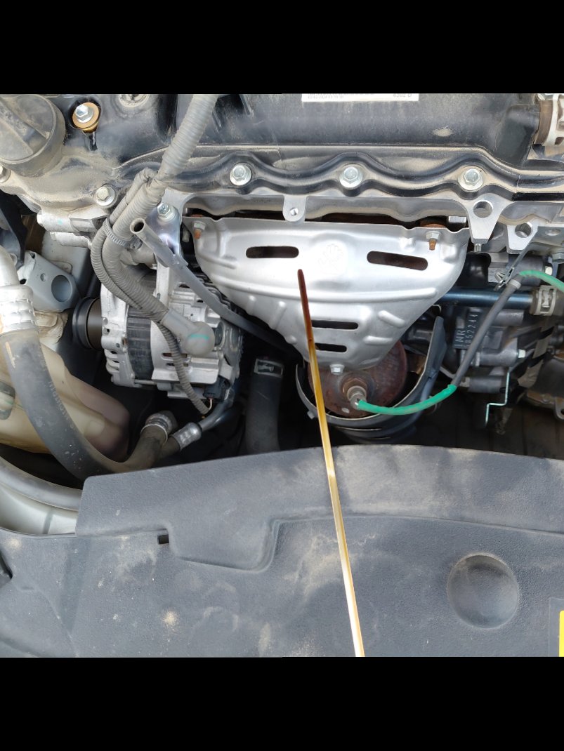 تويوتا يارس Y PLUS 2024 image