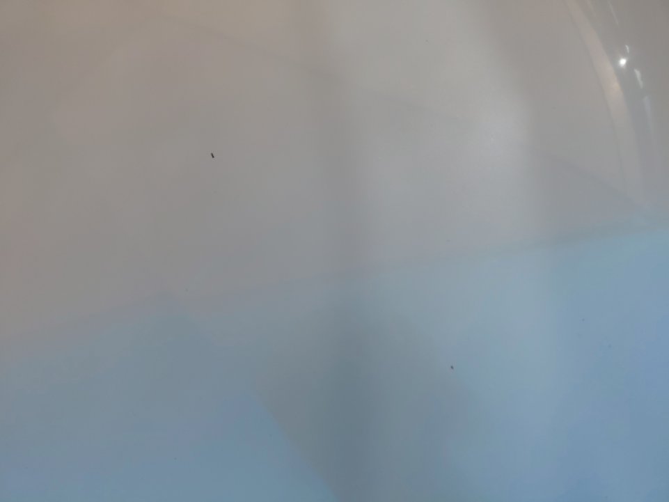 تويوتا كورولا XLI 2022 image