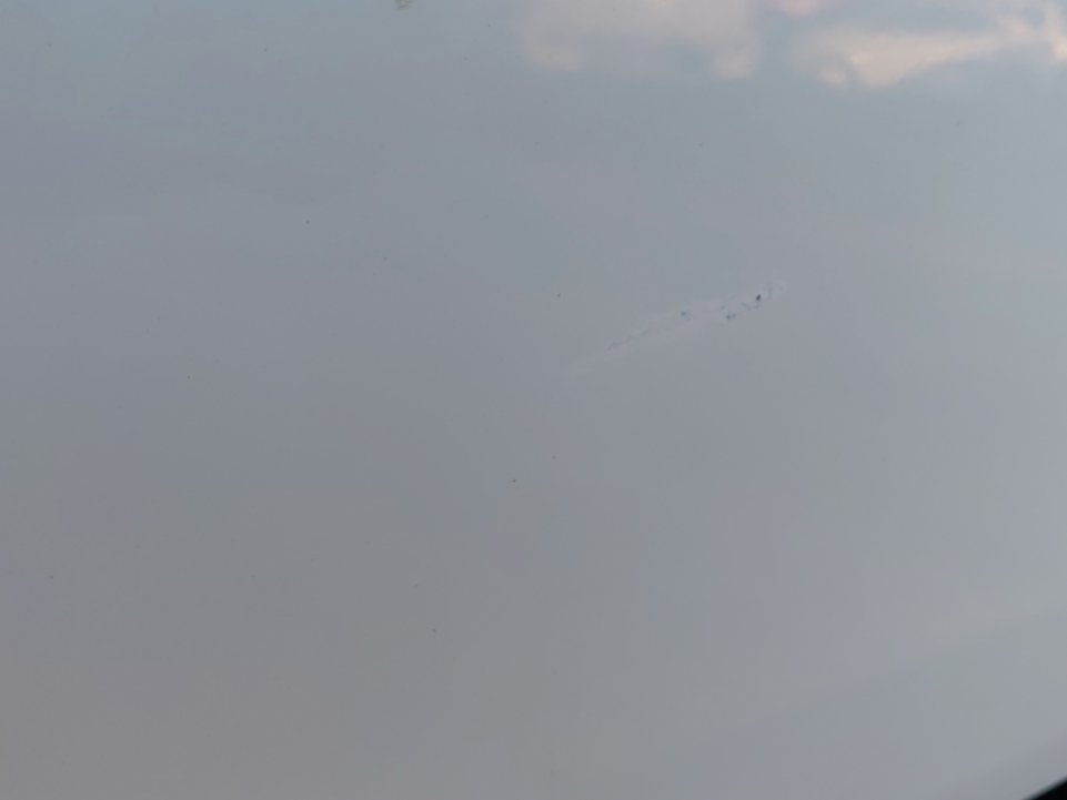 ايسوزو ديماكس 2x4 2021 image