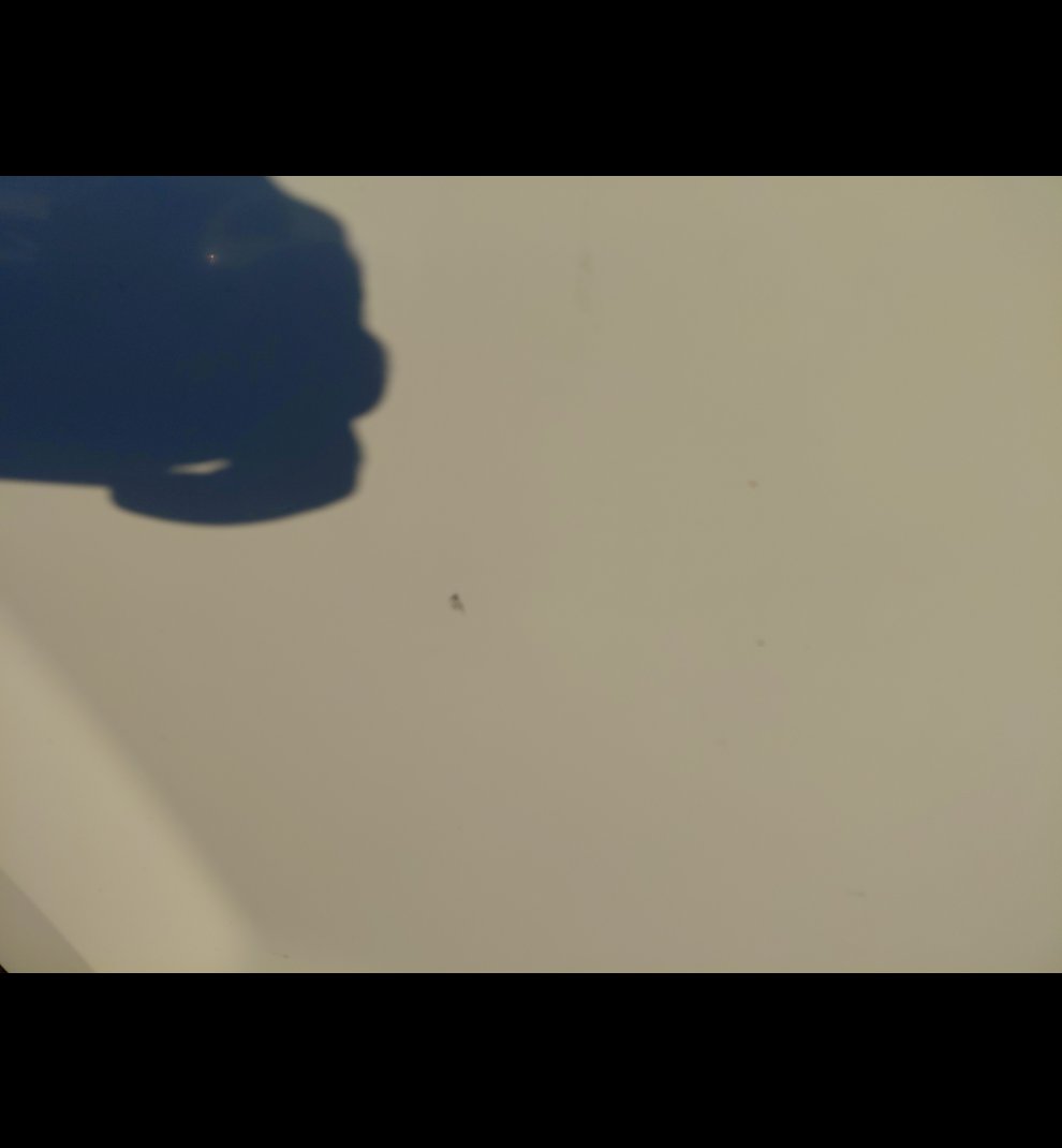 ايسوزو ديماكس 2x4 2021 image