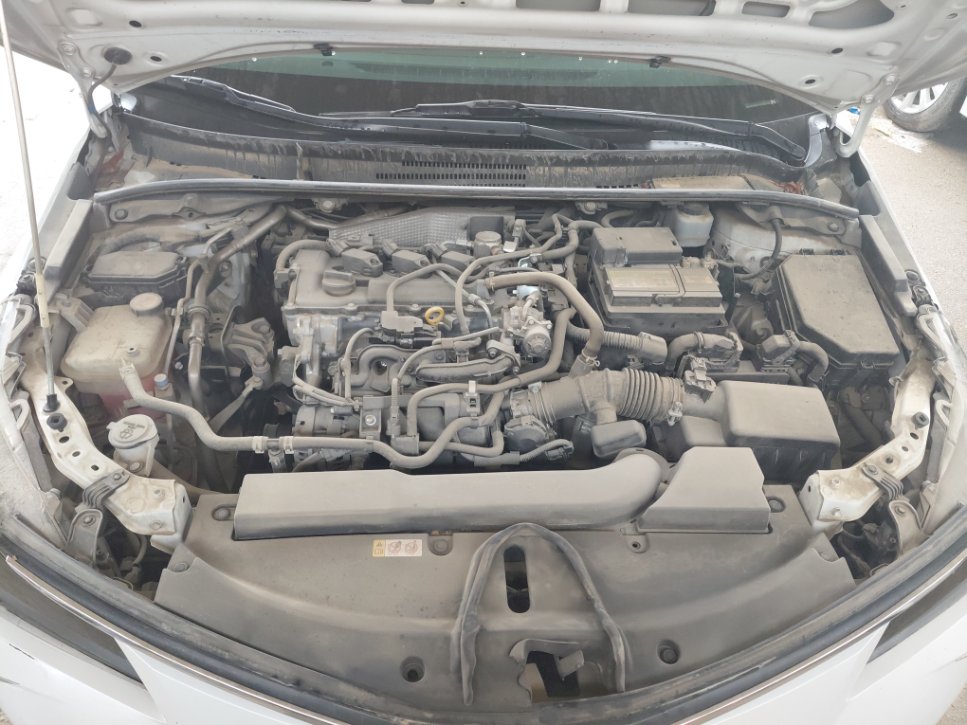 تويوتا كورولا XLI EXE  2022 image