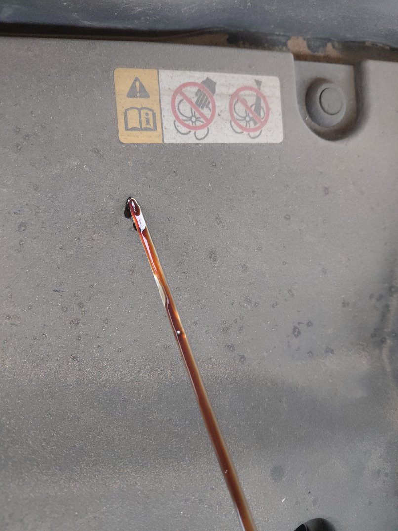 تويوتا كورولا XLI EXE  2022 image