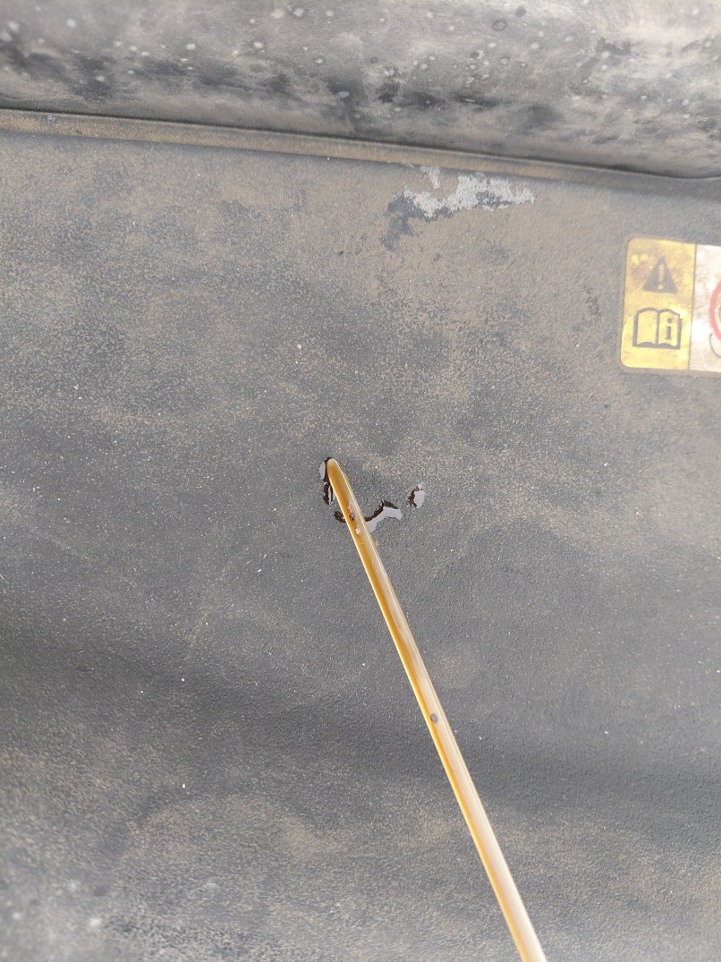 تويوتا كورولا XLI EXE 2022 image