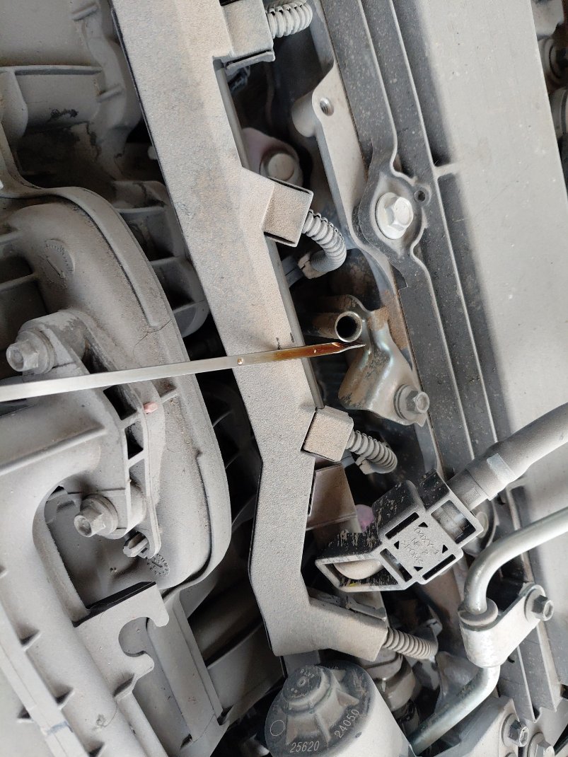 تويوتا كورولا XLI 2024 image