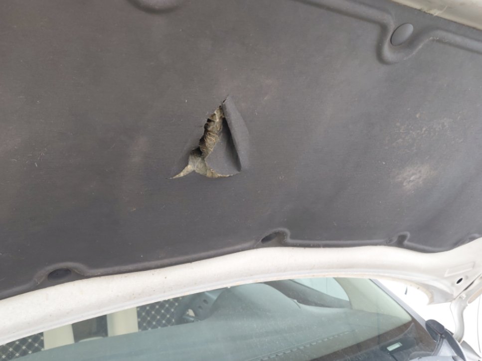 هيونداي أكسنت GL 2020 image