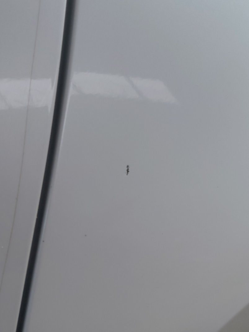 Toyota Corolla XLI EXE 2024 image