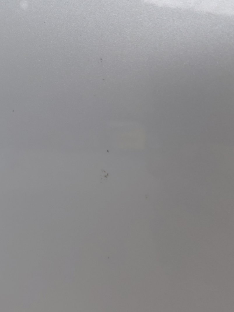 Toyota Corolla XLI EXE 2024 image