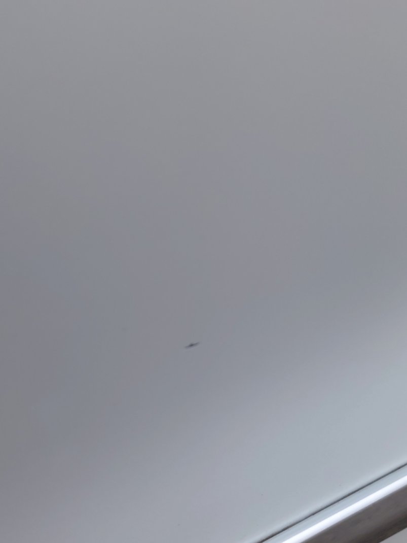 Toyota Corolla XLI EXE 2024 image