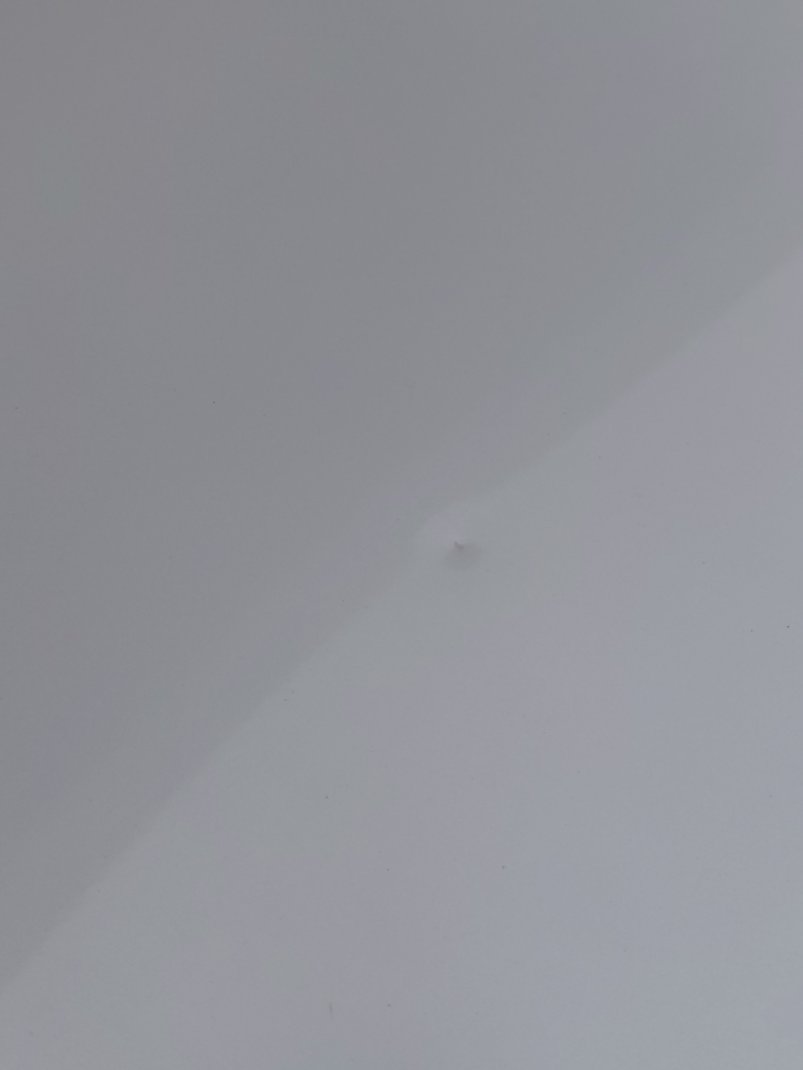 Toyota Corolla XLI EXE 2024 image