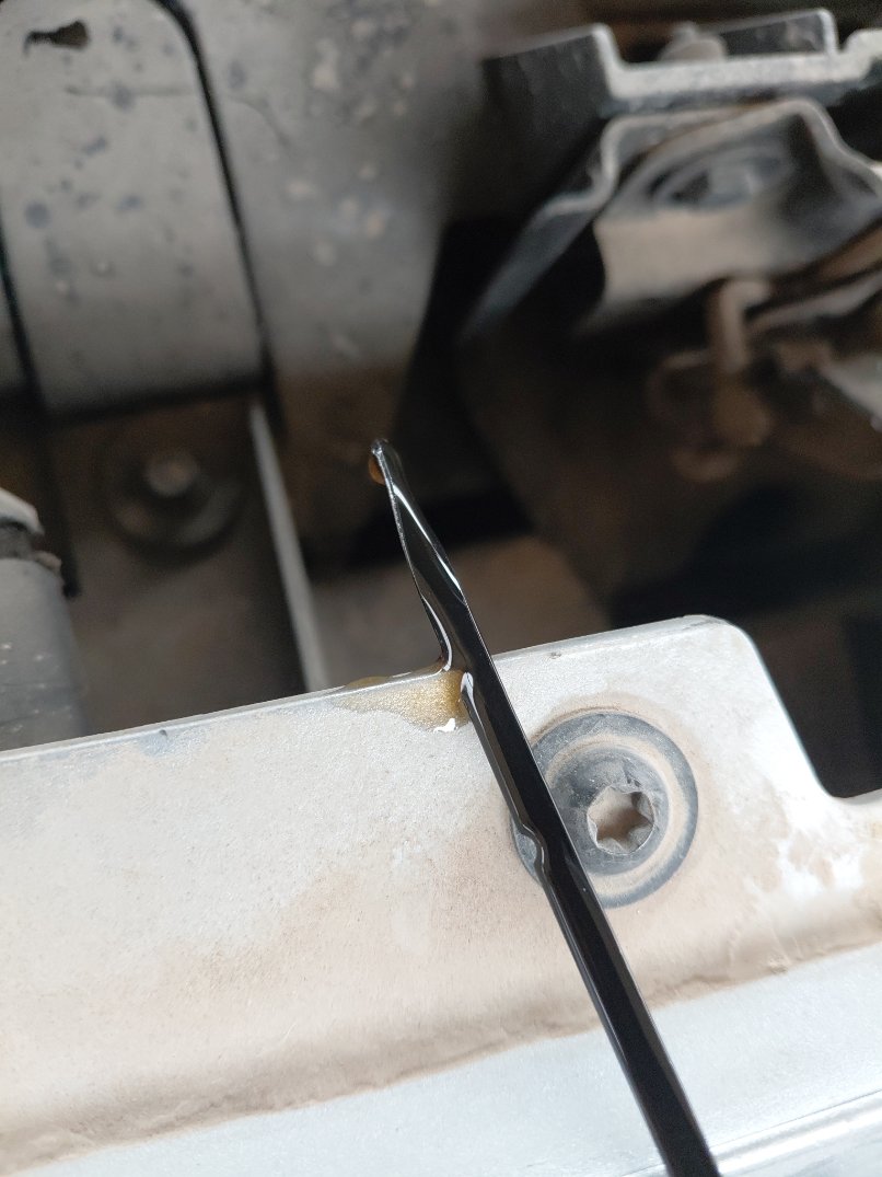 فورد فيجو S 2019 image