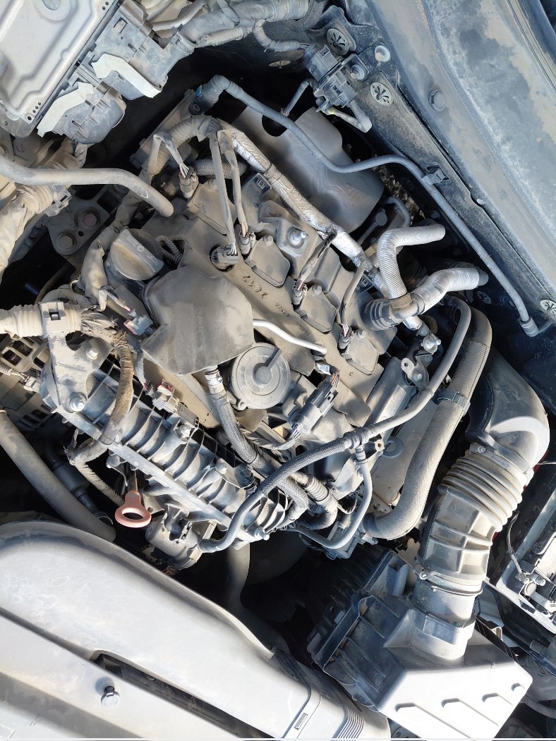 هافال H6  2022 image