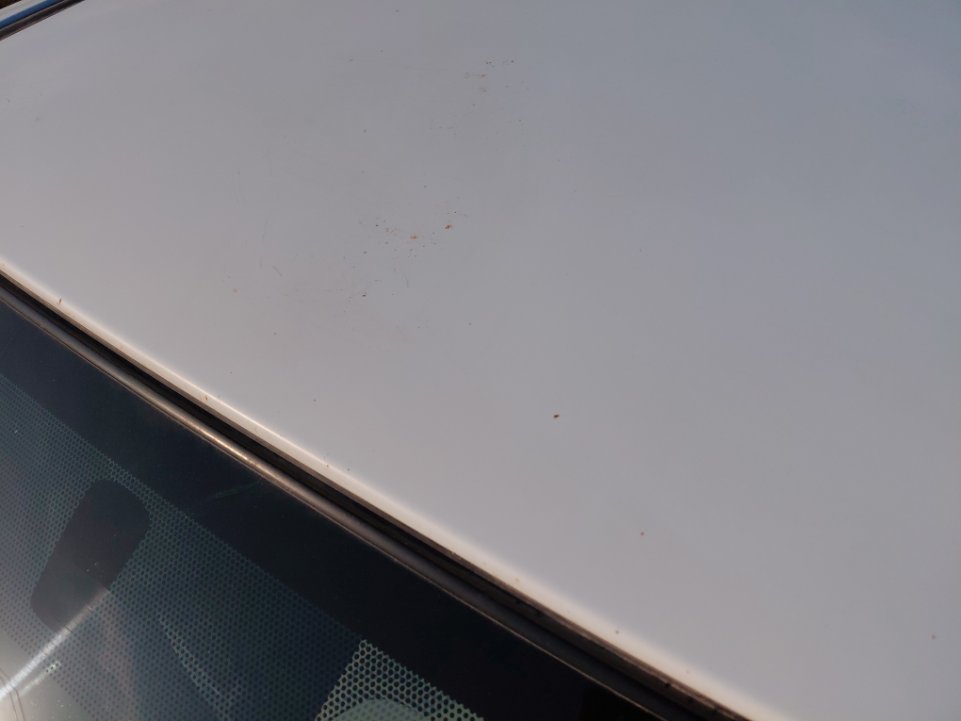 ايسوزو ديماكس 2X4 2022 image