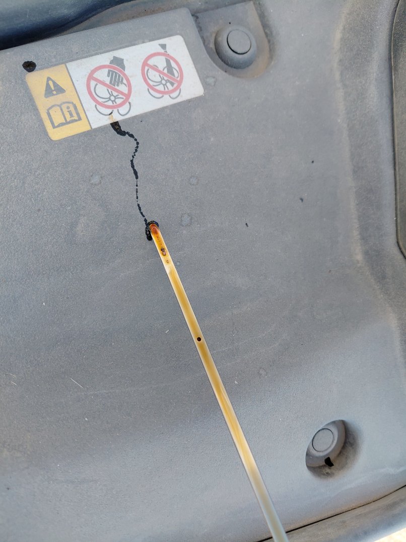 تويوتا كورولا XLI 2024 image