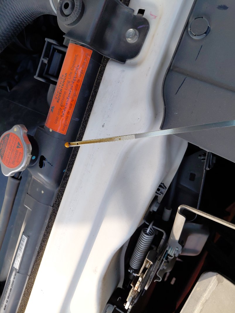 ايسوزو ديماكس  2021 image