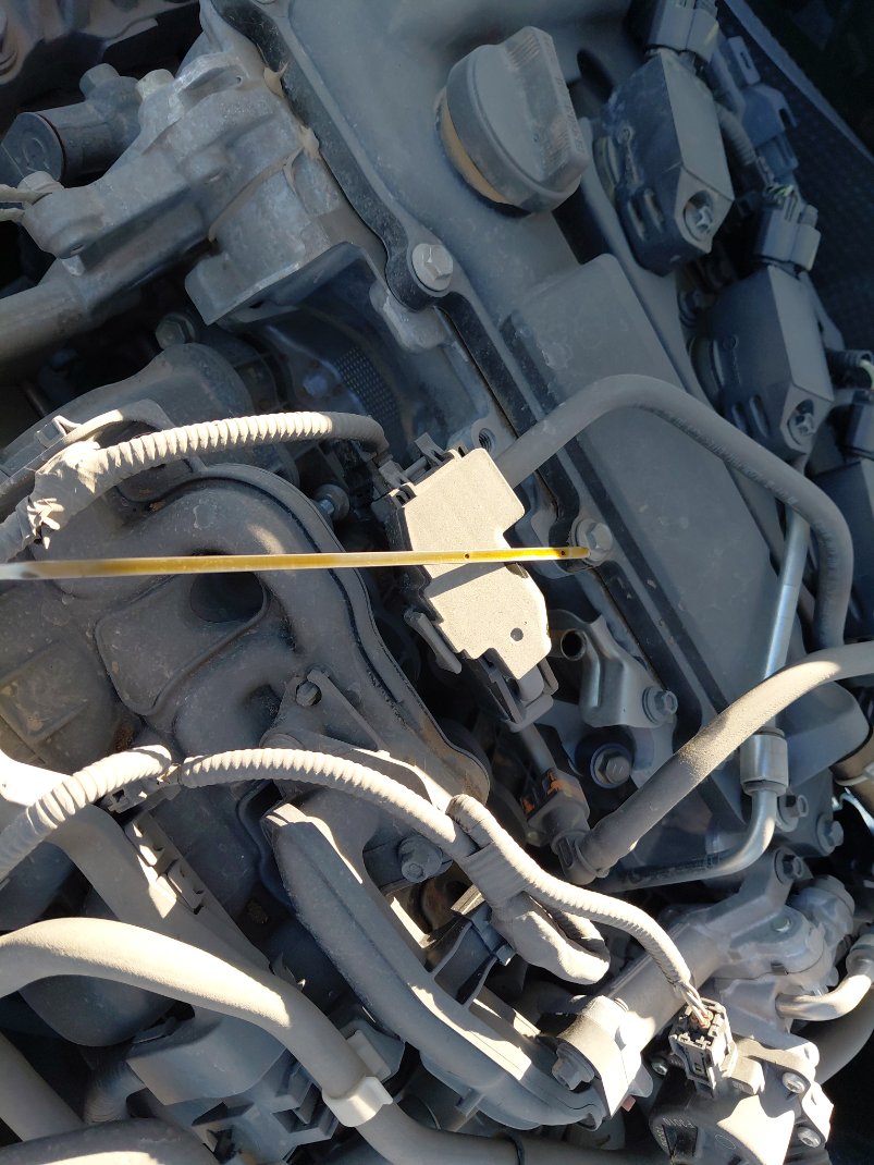 تويوتا كورولا XLI 2022 image