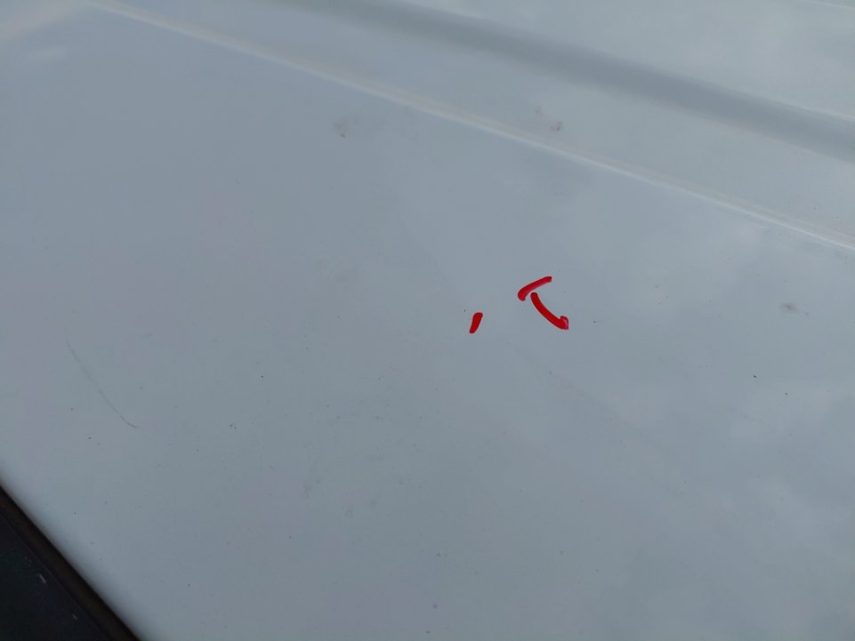 ايسوزو ديماكس  2021 image