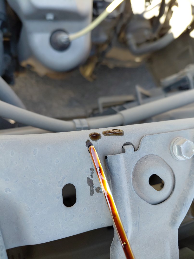 تويوتا رايز XLE 2024 image