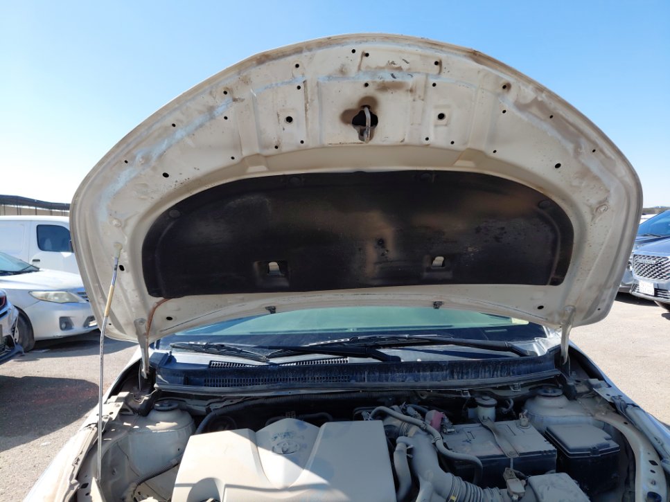 تويوتا يارس Y 2019 image