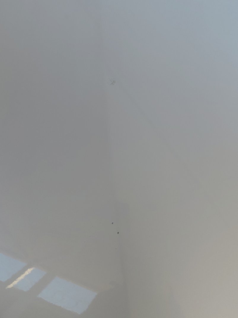 Toyota Corolla XLI  2024 image