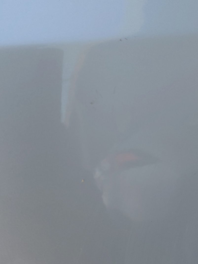 Toyota Corolla XLI  2024 image