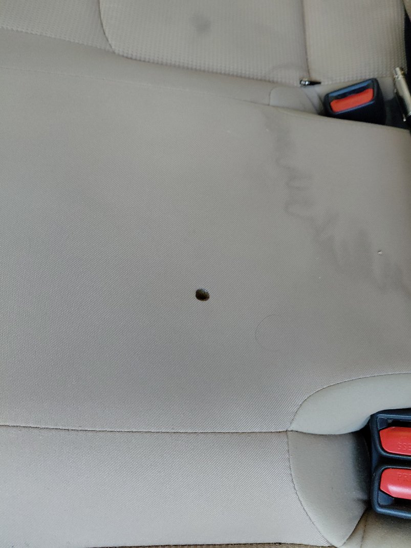 تويوتا راف فور  LE   2021 image