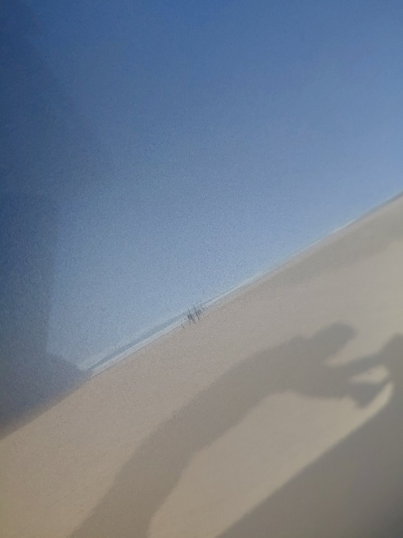 تويوتا راف فور  LE   2021 image