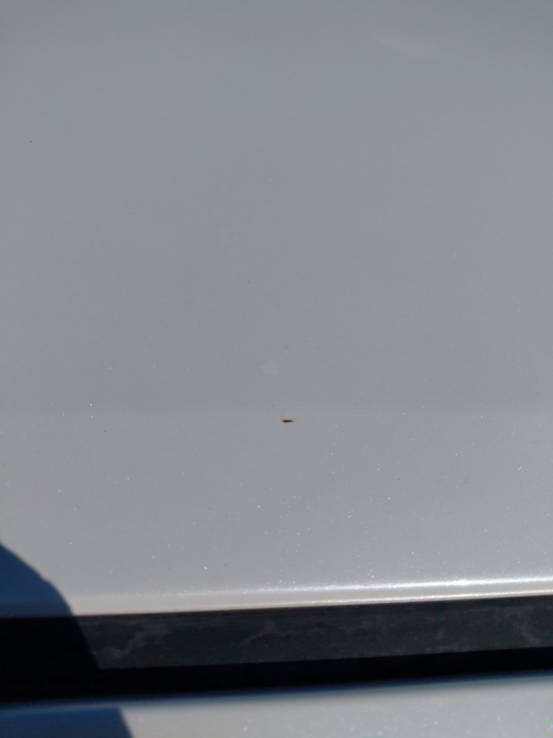 تويوتا كورولا XLI 2022 image