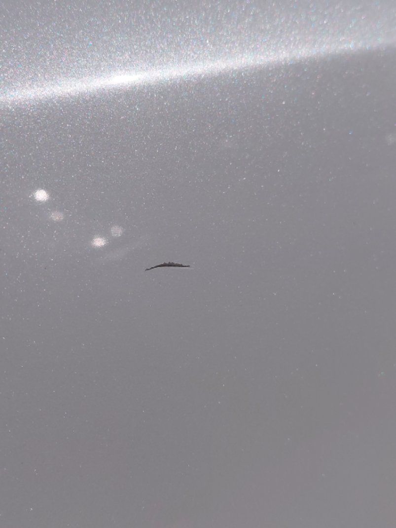 تويوتا كورولا XLI 2022 image