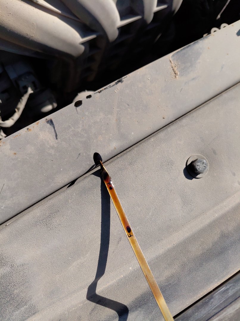 هيونداي أكسنت GL 2020 image