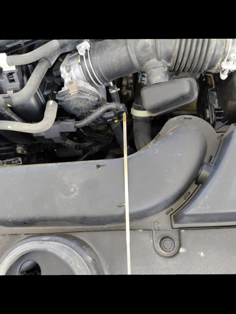 تويوتا كورولا XLI EXE  2023 image