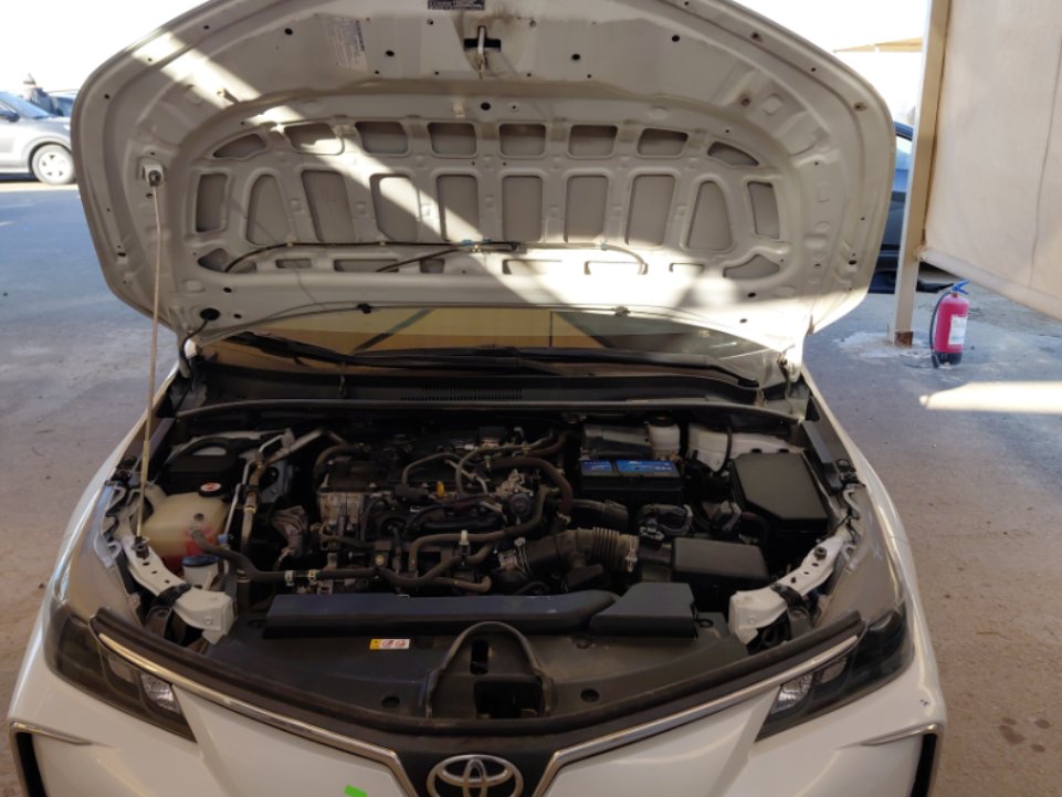 تويوتا كورولا XLI EXE  2023 image