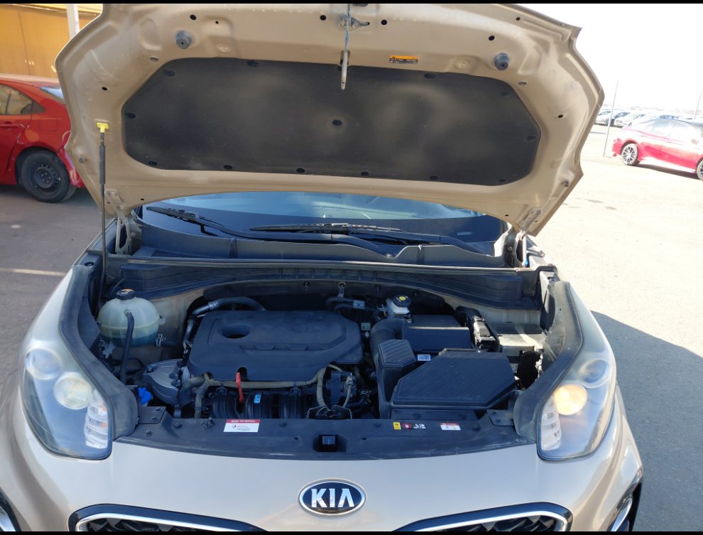 كيا سبورتاج STD 2020 image