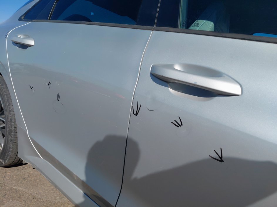 KIA K5 LX  2021 image