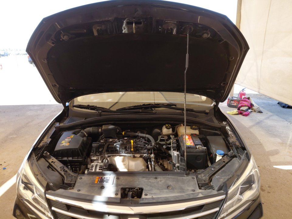 إم جي 5  2024 image