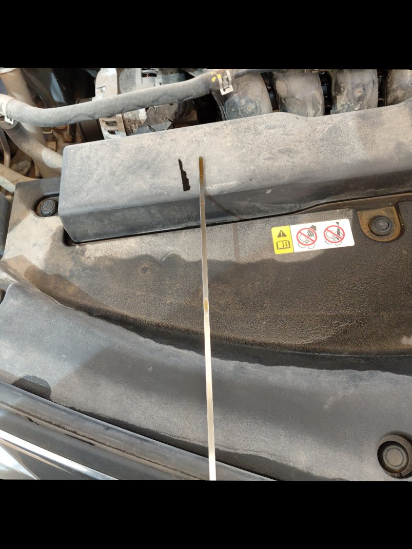 Toyota Corolla XLI 2024 image