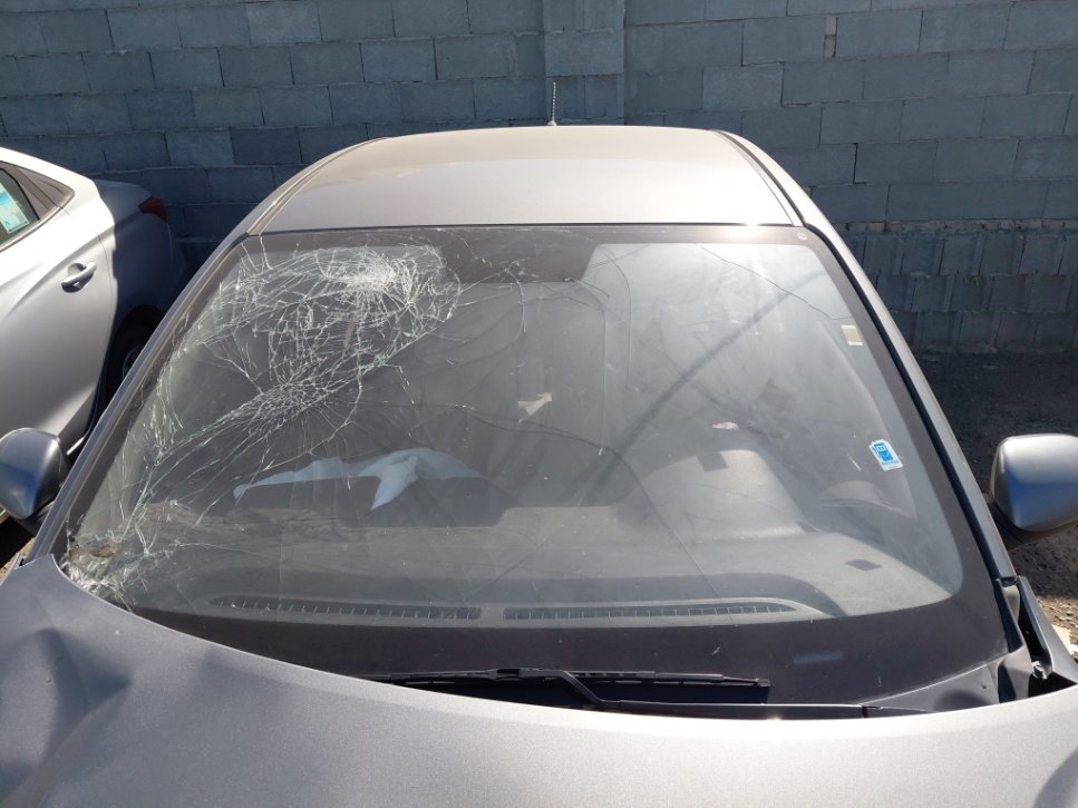 KIA Pegas LX FWD - تالف  2023 image