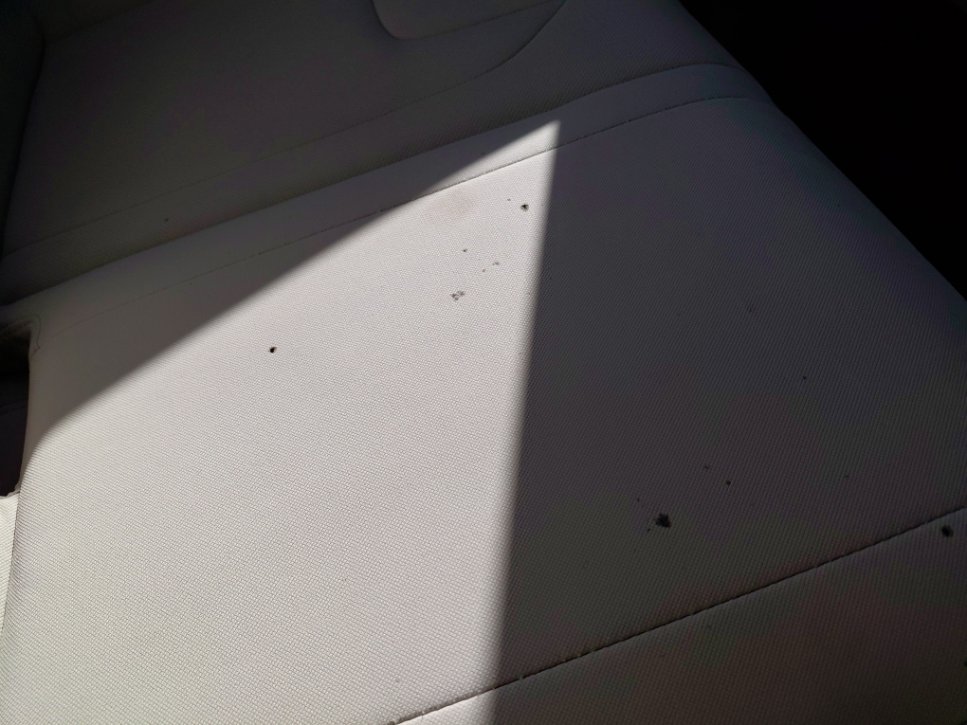 Hyundai Elantra FLT  2023 image