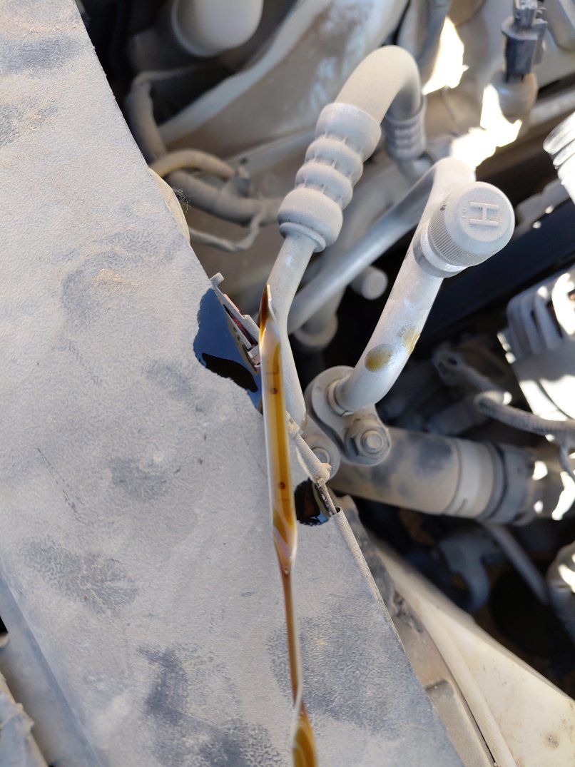 Hyundai Elantra FLT  2023 image