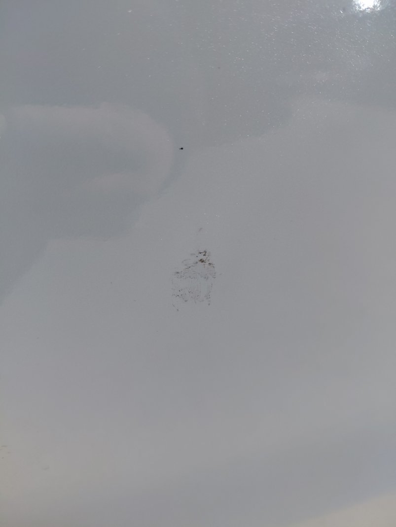 تويوتا كورولا XLI 2023 image