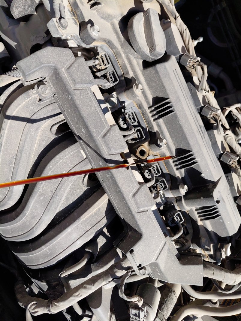 Hyundai Elantra FLT  2024 image