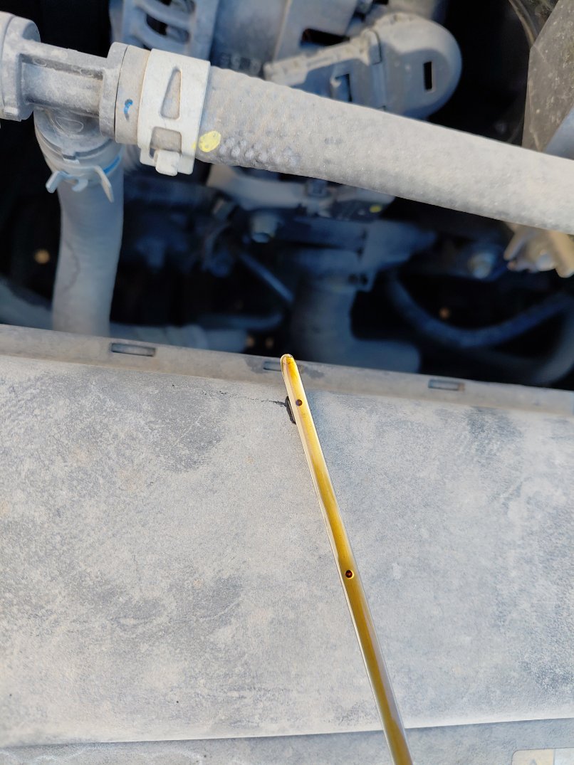 تويوتا كورولا XLI 2023 image