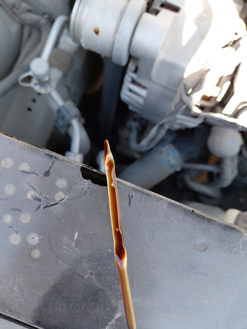 Hyundai Accent FLT  2024 image