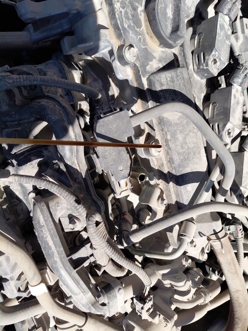 تويوتا كورولا XLI 2024 image