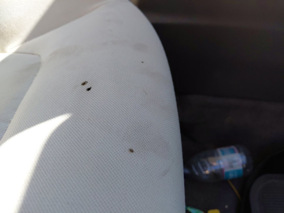 Hyundai Accent FLT  2024 image