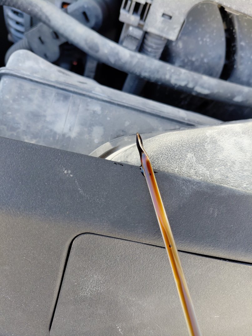 Toyota Camry LE STD 2024 image