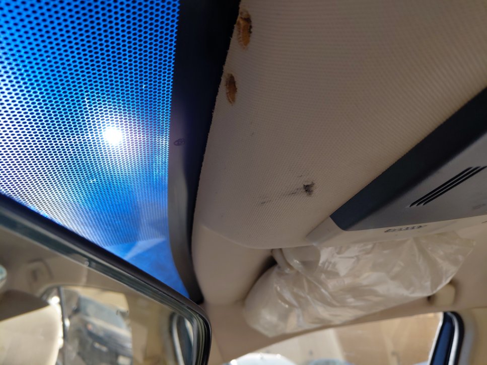 Toyota Camry LE STD 2024 image