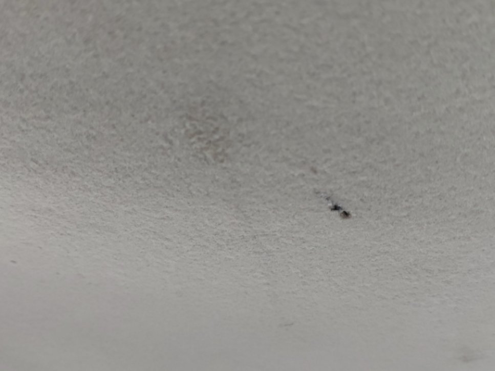 تويوتا يارس Y 2024 image